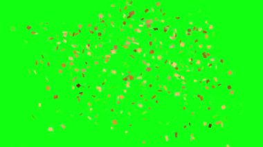 Kutlama ve olaylar için altın rengi Konfeti animasyonu, yeşil ekran krom anahtarı üzerindeki grafik kaynak ögesi