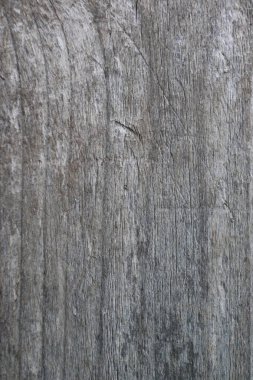 Doğal desenli ahşap doku arka plan olarak kullanılabilir.