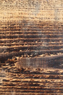 Doğal desenli ahşap doku arka plan olarak kullanılabilir.