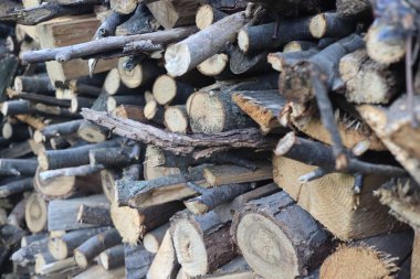 Kesik odun yığını, yakın çekim, kırsal alan