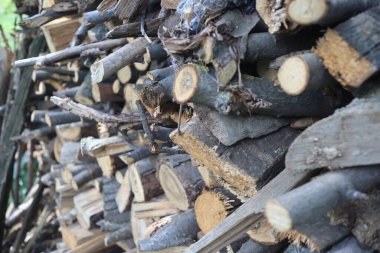 Kesik odun yığını, yakın çekim, kırsal alan