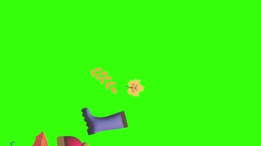 Sonbahar ögeleri grubu yeşil ekranda nesne canlandırması