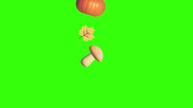 Sonbahar ögeleri grubu yeşil ekranda nesne canlandırması