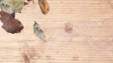 Gerçekçi sonbahar yaprakları ve ahşap doku elementleriyle hareketli grafik tasarımı