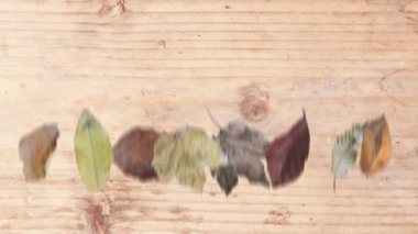 Gerçekçi sonbahar yaprakları ve ahşap doku elementleriyle hareketli grafik tasarımı