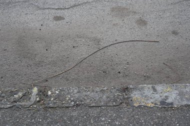 Azaltılmış kamusal yol üyeliği