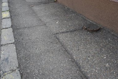 Azaltılmış kamusal yol üyeliği