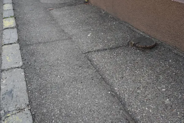 Azaltılmış kamusal yol üyeliği