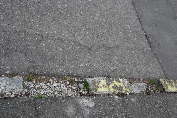 Azaltılmış kamusal yol üyeliği