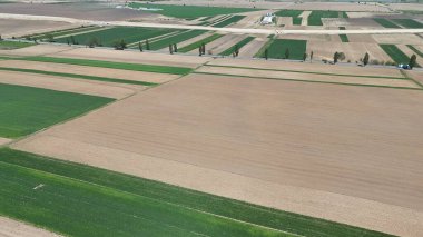 Kırsal tarım alanlarının havadan görünüşü, bahar zamanı