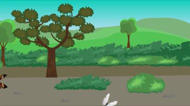 Doğa arka planında uçan kelebek grubu. Tarlalarda animasyon, vahşi yaşam çizgi filmi.
