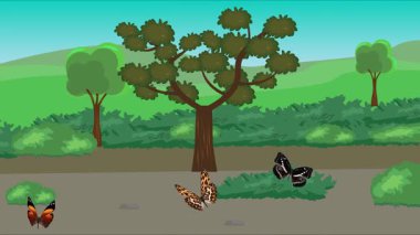 Doğa arka planında uçan kelebek grubu. Tarlalarda animasyon, vahşi yaşam çizgi filmi.