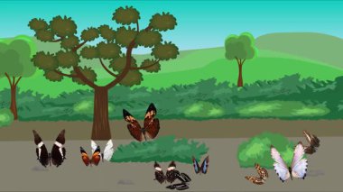 Doğa arka planında uçan kelebek grubu. Tarlalarda animasyon, vahşi yaşam çizgi filmi.