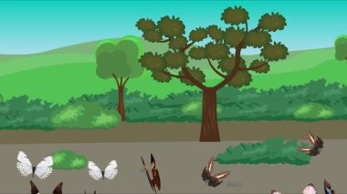 Doğa arka planında uçan kelebek grubu. Tarlalarda animasyon, vahşi yaşam çizgi filmi.