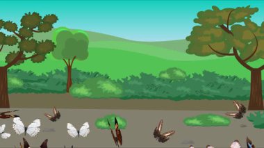 Doğa arka planında uçan kelebek grubu. Tarlalarda animasyon, vahşi yaşam çizgi filmi.