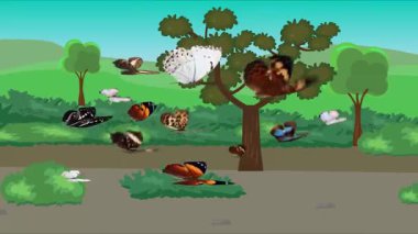 Doğa arka planında uçan kelebek grubu. Tarlalarda animasyon, vahşi yaşam çizgi filmi.