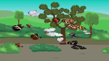 Doğa arka planında uçan kelebek grubu. Tarlalarda animasyon, vahşi yaşam çizgi filmi.
