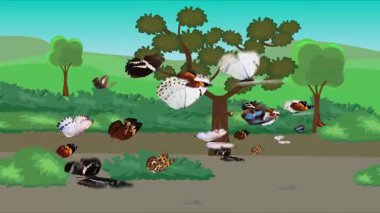 Doğa arka planında uçan kelebek grubu. Tarlalarda animasyon, vahşi yaşam çizgi filmi.