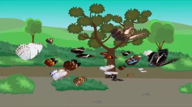 Doğa arka planında uçan kelebek grubu. Tarlalarda animasyon, vahşi yaşam çizgi filmi.