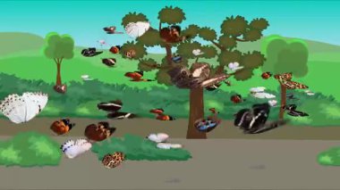 Doğa arka planında uçan kelebek grubu. Tarlalarda animasyon, vahşi yaşam çizgi filmi.