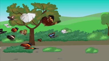 Doğa arka planında uçan kelebek grubu. Tarlalarda animasyon, vahşi yaşam çizgi filmi.