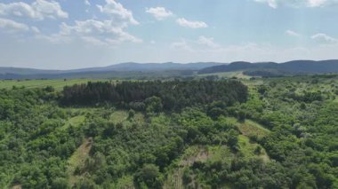 Romanya 'nın Somusca köyü etrafındaki yeşil tarlaların havadan görünüşü