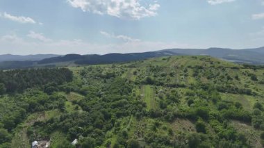 Romanya 'nın Somusca köyü etrafındaki yeşil tarlaların havadan görünüşü