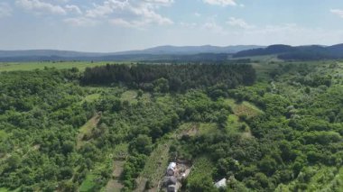 Romanya 'nın Somusca köyü etrafındaki yeşil tarlaların havadan görünüşü