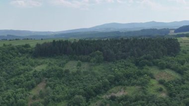 Romanya 'nın Somusca köyü etrafındaki yeşil tarlaların havadan görünüşü