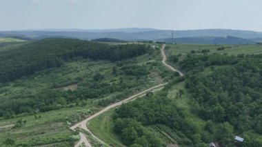 Romanya 'nın Somusca köyü etrafındaki yeşil tarlaların havadan görünüşü