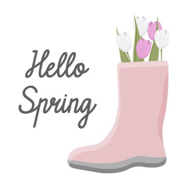 İçinde laleler olan pembe lastik çizmeler. Şeffaf bir arkaplanda vektör çizimi. Merhaba bahar.