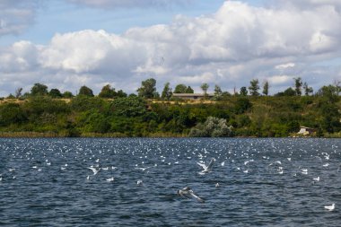 arka planda güzel bir göl