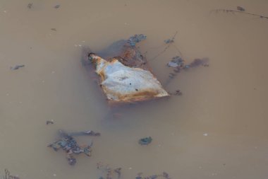 Plastic polution of  rivers Somesul Mare and Somesul Mic from ROMANIA