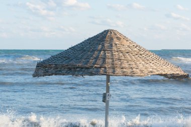 Venus beach in summer season