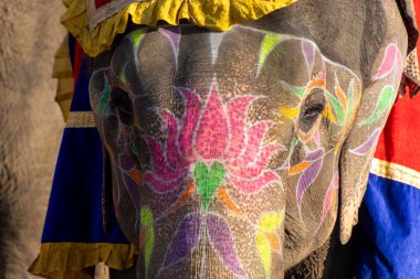 Fil kafalı fil, Tayland fili, Tayland filinde fil.