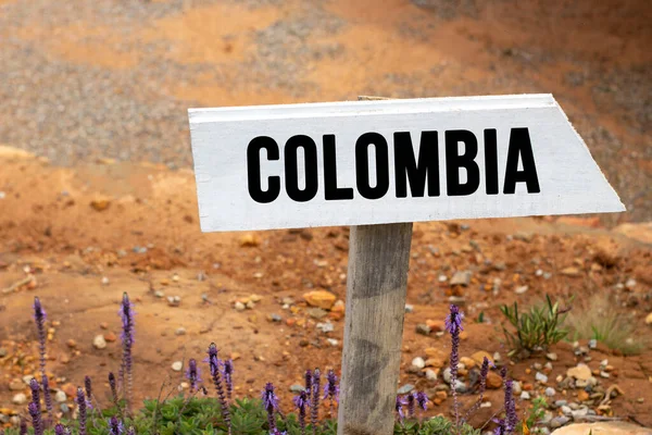 コロンビアという言葉が輝く光の中で白い木製の看板 — ストック写真