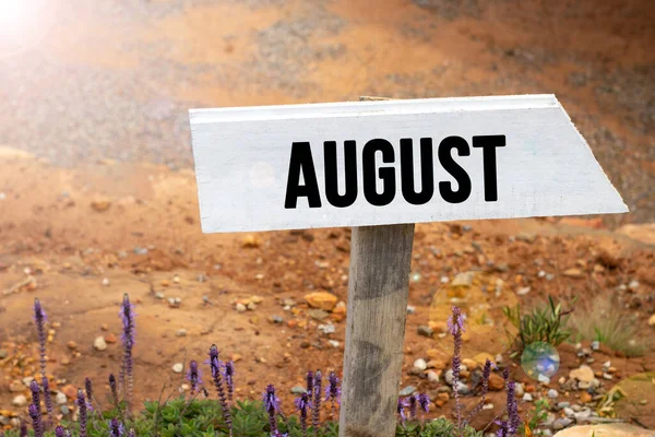 White wooden signpost with the word August in a glowing light