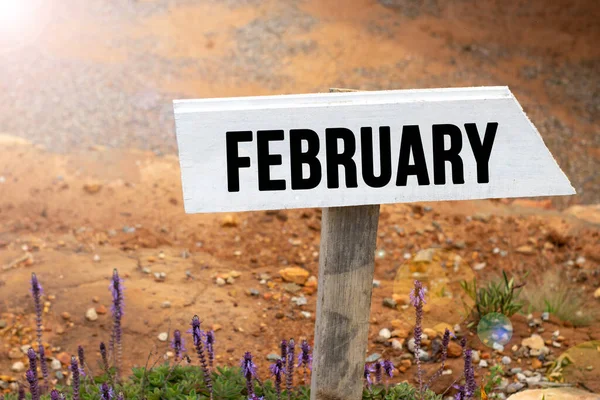 White wooden signpost with the word February in a glowing light