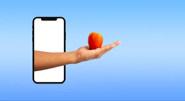 Handen Kommer Mobiltelefon Med Tomat Blå Bakgrund — Stockfoto