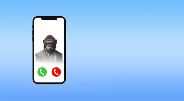 Chamada Recebida Telefone Celular Com Macaco Terno Fundo Azul — Fotografia de Stock