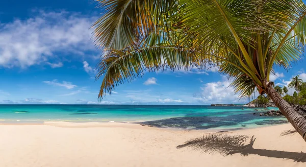 Красивый Фантастический Пляж Солнечный Летний День Окружении Деревьев Пальм — стоковое фото
