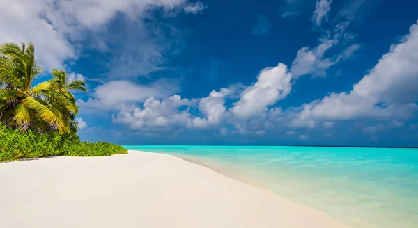 Красивый Пляж Кристально Чистой Водой Песке Летом Зелеными Пальмами — стоковое фото