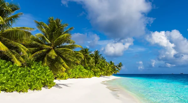 Красивый Пляж Кристально Чистой Водой Рядом Песком Летом Пальмами — стоковое фото