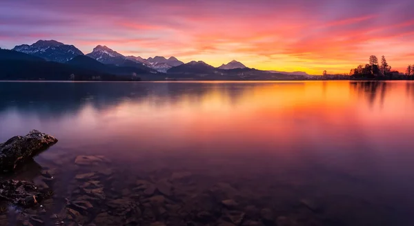 Красивый Пейзаж Заката Фиолетовыми Желтыми Цветами Рядом Озером — стоковое фото