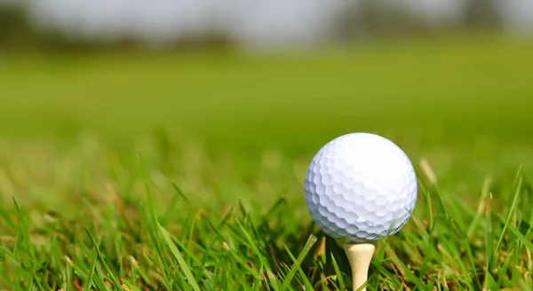 Golf Ball Grass High Definition — Stock Photo, Image