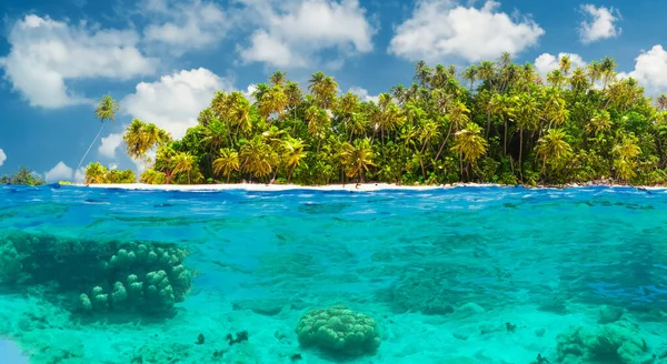 Прекрасный Вид Лесистый Остров Морем Высоком Разрешении Резкости Голубым Небом — стоковое фото