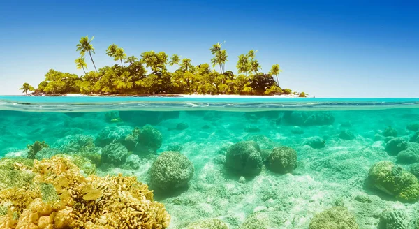 Прекрасный Вид Лесистый Остров Морем Высоком Разрешении Резкости — стоковое фото