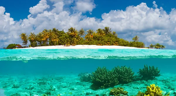 Красивый Вид Остров Морем Прозрачной Водой Высоком Разрешении Четкостью Голубым — стоковое фото