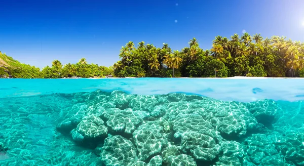 stock image beautiful view of an island under the sea in high resolution