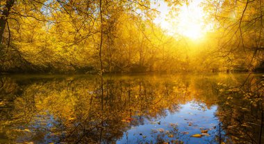 Sonbaharda ormanı olan güzel bir göl arka planda yüksek çözünürlüklü bir güneş ışınıyla yansıtılır.